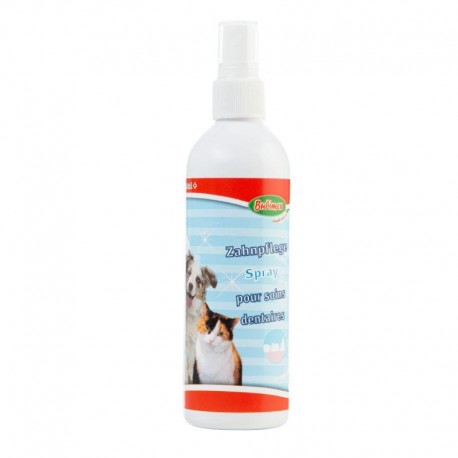 DENTAL+ BUBIMEX | SPRAY PARA LIMPAR OS DENTES - 175ML