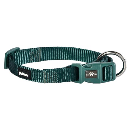 COLEIRA BUBIMEX | LISA NYLON VERDE - 25MM / 55-70CM
