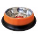 COMEDOURO INOX BASE ANTIDERRAPANTE | LARANJA - 2,80L