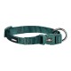 COLEIRA BUBIMEX | VERDE - 15MM x 30/45CM