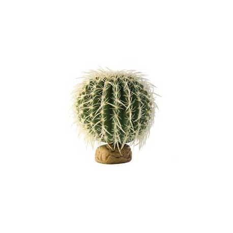 PLANTA "BARREL CACTUS" MD.