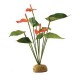 PLANTA "ANTHURIUM BUSH"