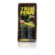 FUNDO TROPICAL FETO ARBÓREO 29X14.5X1.5CM, 2UN
