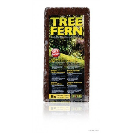 FUNDO TROPICAL FETO ARBÓREO 29X14.5X1.5CM, 2UN