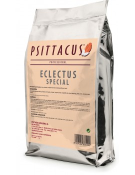 PAPA FÓRMULA ECLECTUS ESPECIAL5KG