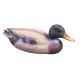 PATO MACHO 39CM.