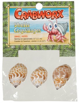 DECORAÇÃO CRABWORX | CONCHAS DE CARANGUEJO - PEQUENAS / 3 UNIDADES