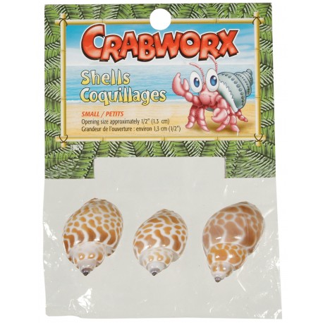 DECORAÇÃO CRABWORX | CONCHAS DE CARANGUEJO - PEQUENAS / 3 UNIDADES