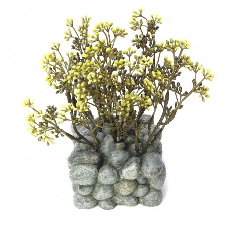 BASE PEDRAS E PLANTAS | DECORAÇÃO FLUVAL CHI