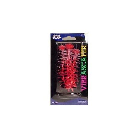 PLANTA 12,5 CM ANACAHARIS - BLI.