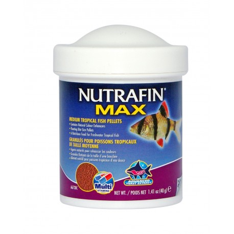 NUTRAFIN MAX TROPICAL | GRANULADO FLUTUANTE PARA PEIXES TROPICAIS - 40GR