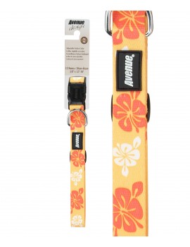 COLEIRA  DESIGN  "HAWAII" 