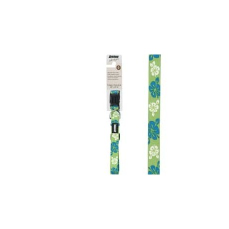 COLEIRA  DESIGN  "HAWAII" 