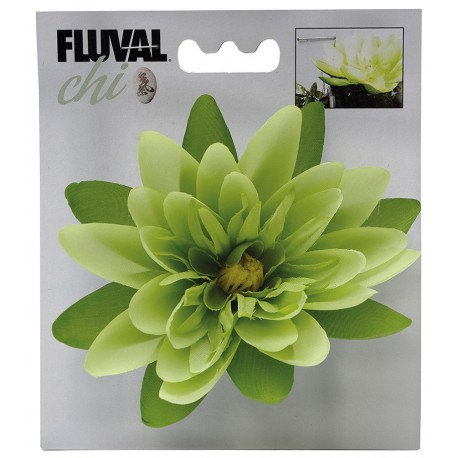 PLANTA FLOR DE LILY | DECORAÇÃO FLUVAL CHI