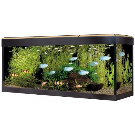 AQUARIO FLUV.ROMA 240 120 X 40CM 240L