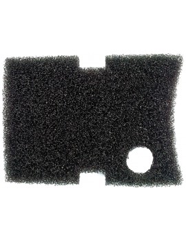 ESPONJA P/C02400/C02500