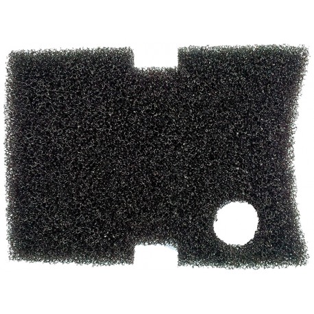 ESPONJA P/C02400/C02500