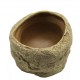 Comedouro Repti Dish Fundo M