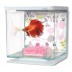 AQUARIO KIT P/BETTAS 2 Lt. "FLORAL"