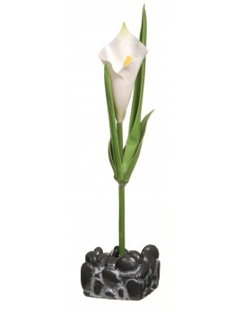 ACESSÓRIOS MARINA BETTA | ORNAMENTO CALA PARA BETTA KIT - 23.5CM