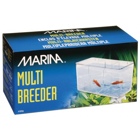 MATERNIDADE MULTIPLA